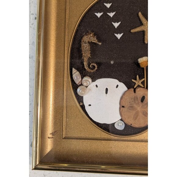 Sand Dollar Nautical Shell Art Betty Shepard Shadow Box Frame Seahorse & Starfis - Picture 8 of 11